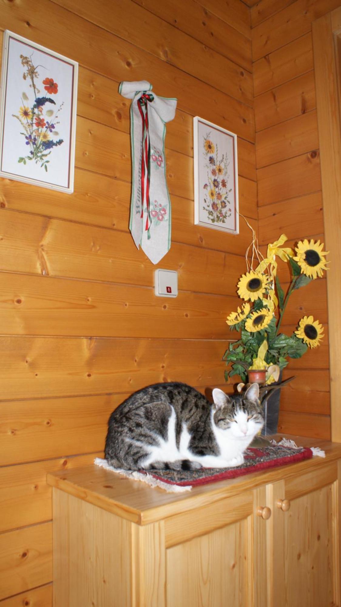 Gasthaus Oberweissen-Hittl Sankt Jakob in Defereggen Bagian luar foto